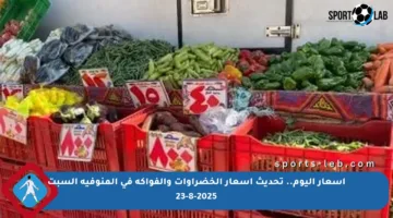 أسعار اليوم.. تحديث أسعار الخضراوات والفواكه في المنوفية السبت 23-8-2025